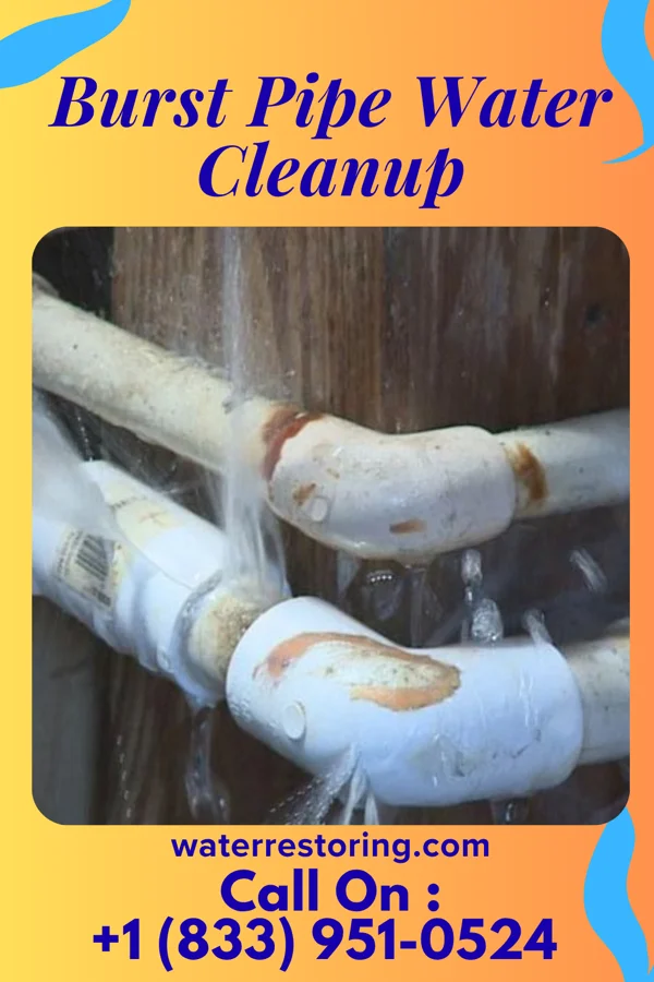 Burst Pipe Water Cleanup in Hickory, NC