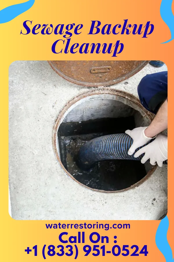 Sewage Backup Cleanup in Hickory, NC